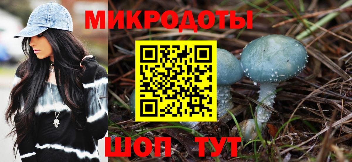 Ртищево  Псилоцибиновые грибы ЛСД  Псилоцибиновые грибы мухоморы  Вход с VPN 